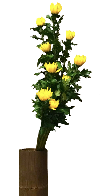 八代流 江戸時代に名古屋で生まれたいけばなの流派です